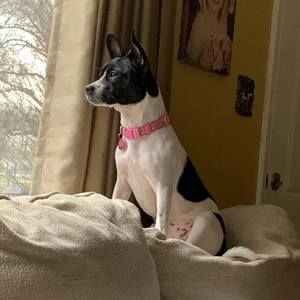 Meet your Posher, Mickie